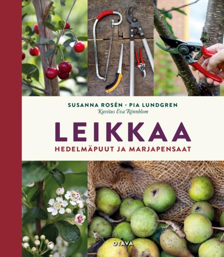 Leikkaa hedelmäpuut ja marjapensaat