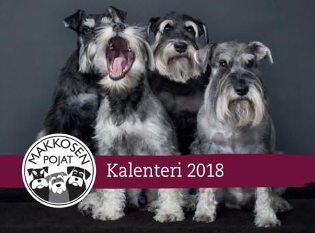 Makkosen poikien kalenteri 2018 | Otava